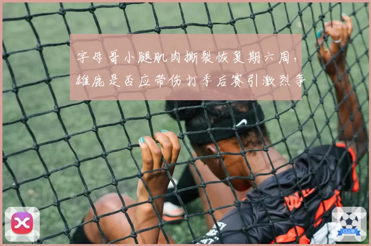 字母哥小腿肌肉撕裂恢复期六周，雄鹿是否应带伤打季后赛引激烈争论