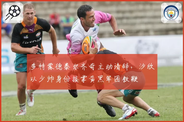 多特蒙德泰尔齐奇主动请辞,沙欣以少帅身份接掌黄黑军团教鞭