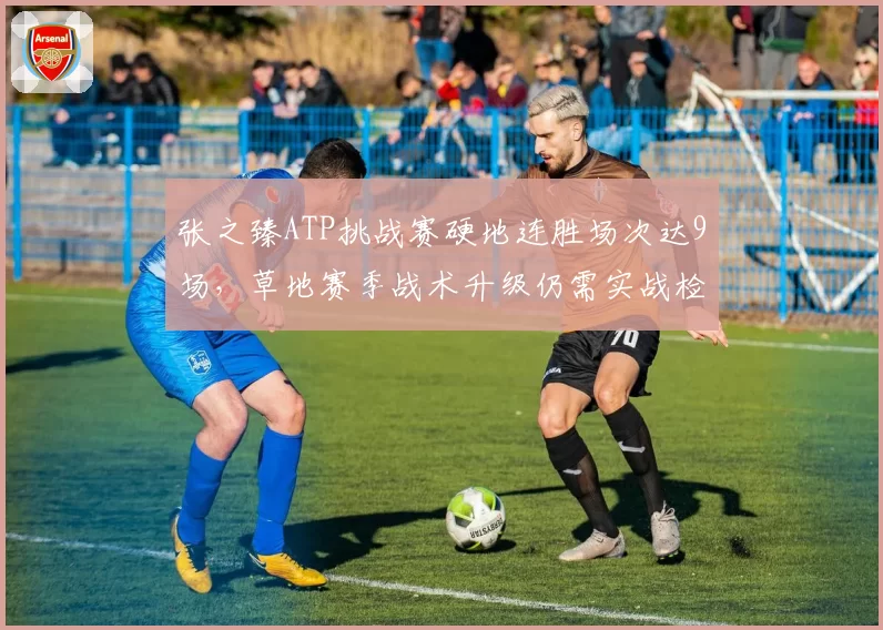 张之臻ATP挑战赛硬地连胜场次达9场,草地赛季战术升级仍需实战检验?
