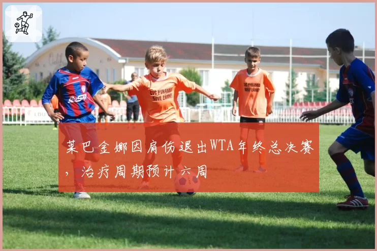莱巴金娜因肩伤退出WTA年终总决赛，治疗周期预计六周