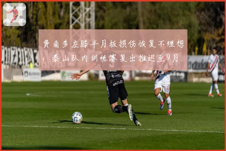费南多左膝半月板损伤恢复不理想,泰山队内训练赛复出推迟至9月