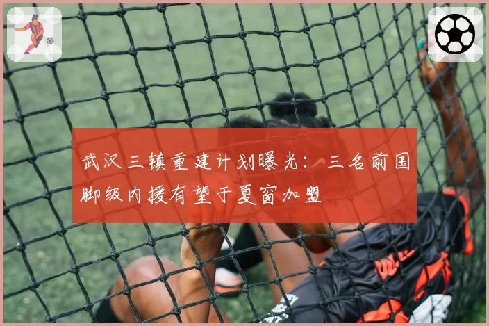武汉三镇重建计划曝光:三名前国脚级内援有望于夏窗加盟