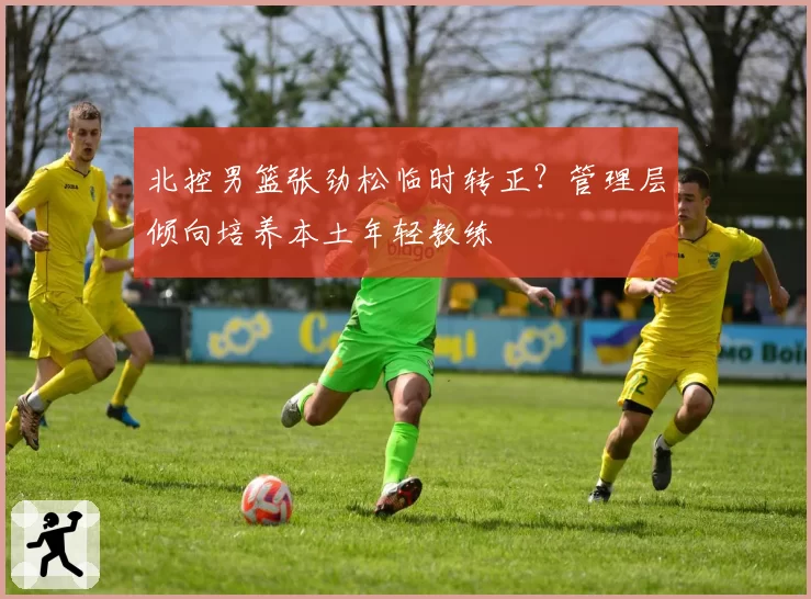 北控男篮张劲松临时转正？管理层倾向培养本土年轻教练