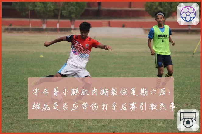 字母哥小腿肌肉撕裂恢复期六周，雄鹿是否应带伤打季后赛引激烈争论