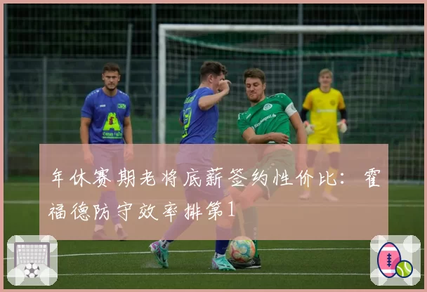 年休赛期老将底薪签约性价比：霍福德防守效率排第1