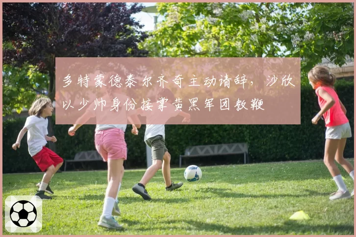 多特蒙德泰尔齐奇主动请辞,沙欣以少帅身份接掌黄黑军团教鞭